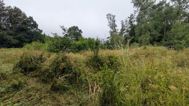 Terrains de loisirs bois etangs a vendre Sottevast 50260 Manche 5760 m2  17440 euros