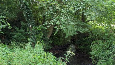 Terrains de loisirs bois etangs a vendre Sottevast 50260 Manche 5760 m2  17440 euros