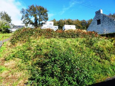 Terrain a batir a vendre Guémené-sur-Scorff 56160 Morbihan 341 m2  8600 euros