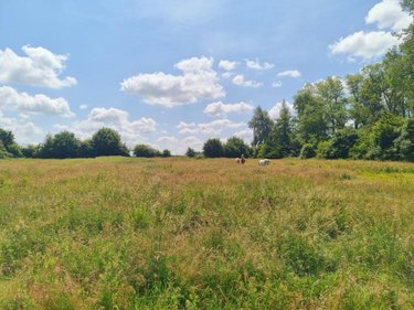 Maison a vendre Reclinghem 62560 Pas-de-Calais 130 m2 6 pièces 208700 euros