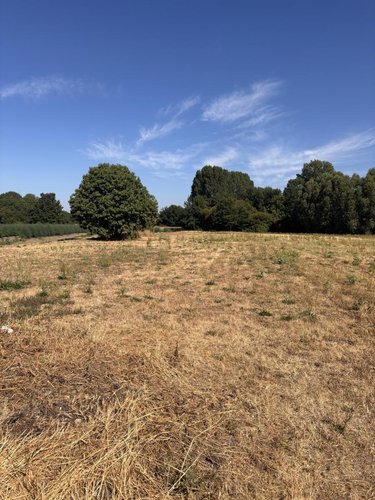 Maison a vendre Beaufort-en-Anjou 49250 Maine-et-Loire 83 m2 4 pièces 167200 euros