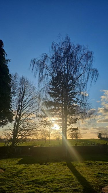 Maison a vendre Noyellette 62123 Pas-de-Calais 135 m2 5 pièces 275000 euros