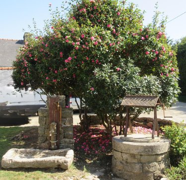 Maison a vendre Guénin 56150 Morbihan 115 m2 6 pièces 177560 euros