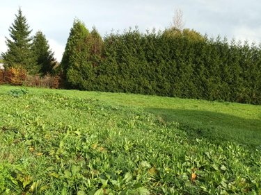 Terrain a batir a vendre Audincthun 62560 Pas-de-Calais 500 m2  23800 euros