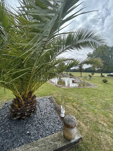 Maison a vendre Lanvollon 22290 Côtes-d'Armor 201 m2 6 pièces 646600 euros