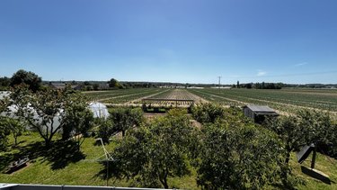 Maison a vendre Gennes Val de Loire 49350 Maine-et-Loire 208 m2 7 pièces 524000 euros