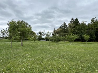 Terrains de loisirs bois etangs a vendre Moisy 41160 Loir-et-Cher 10155 m2  25000 euros