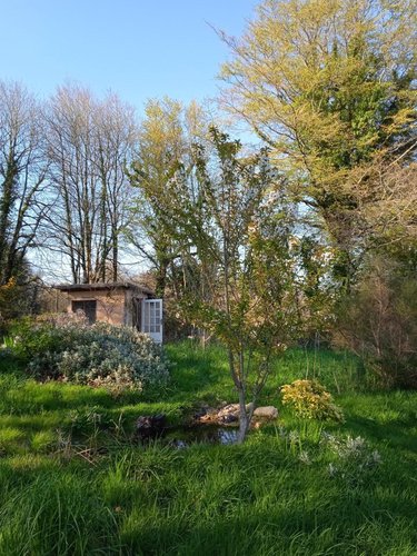 Terrains de loisirs bois etangs a vendre Le Faouët 56320 Morbihan 8980 m2  13600 euros