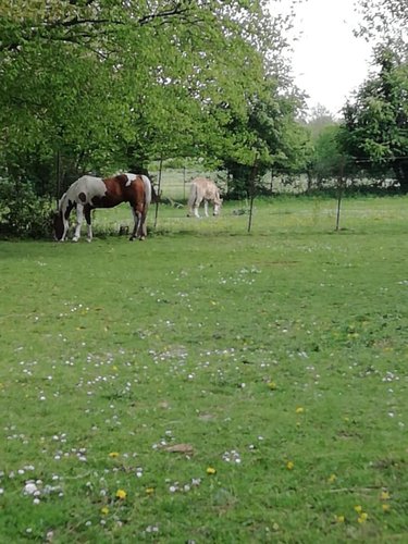 Maison a vendre Aumerval 62550 Pas-de-Calais 116 m2 5 pièces 260000 euros