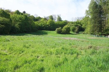 Terrain a batir a vendre Bajus 62150 Pas-de-Calais 3326 m2  101000 euros