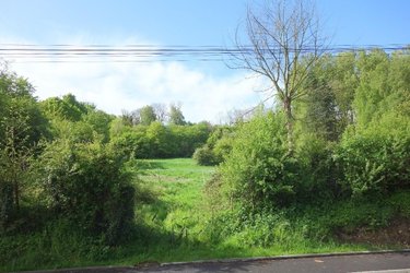 Terrain a batir a vendre Bajus 62150 Pas-de-Calais 3326 m2  101000 euros