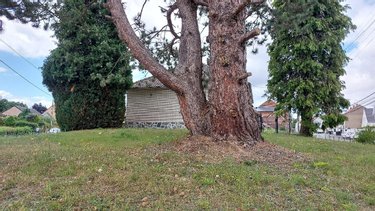 Maison a vendre Haillicourt 62940 Pas-de-Calais 72 m2 4 pièces 183500 euros