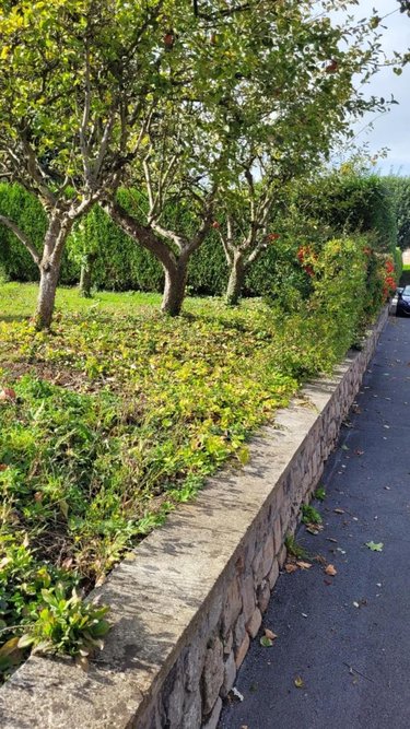 Terrain a batir a vendre Bruay-la-Buissière 62700 Pas-de-Calais 551 m2  84000 euros