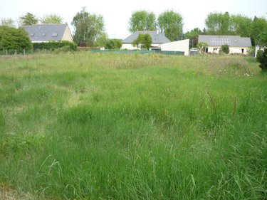 Terrain a batir a vendre Beaufort-en-Anjou 49250 Maine-et-Loire 885 m2  47700 euros