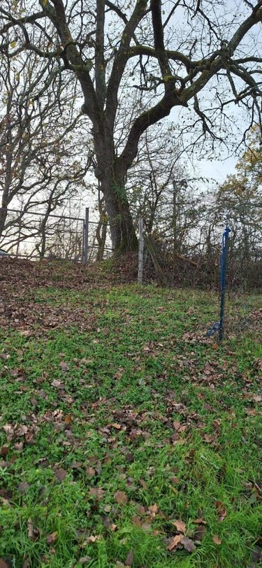 Terrains de loisirs bois etangs a vendre Peyrusse-Grande 32320 Gers 57740 m2  39500 euros