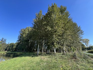 Terrains de loisirs bois etangs a vendre Caulnes 22350 Côtes-d'Armor 17094 m2  53490 euros