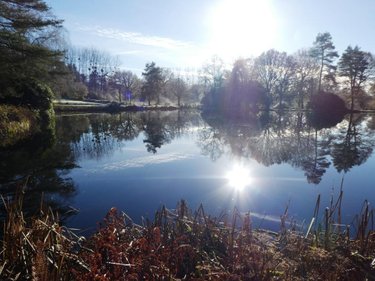 Maison a vendre Langoëlan 56160 Morbihan 130 m2 5 pièces 163230 euros