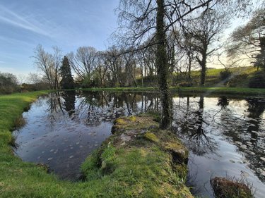 Terrains de loisirs bois etangs a vendre Sérent 56460 Morbihan 2583 m2  10400 euros