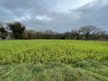 Maison a vendre Yvias 22930 Côtes-d'Armor 96 m2 6 pièces 188040 euros