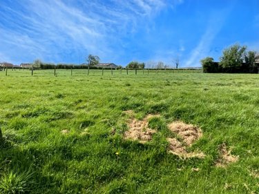 Terrain a batir a vendre Diéval 62460 Pas-de-Calais 853 m2  40546 euros