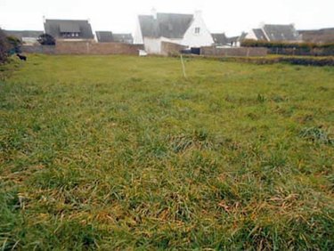 Terrain a batir a vendre Plogoff 29770 Finistère  38500 euros