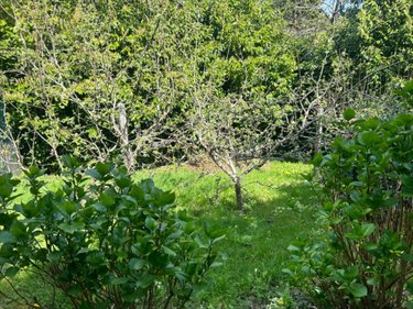 Maison a vendre Huelgoat 29690 Finistère 55 m2 3 pièces 93280 euros