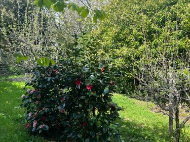 Maison a vendre Huelgoat 29690 Finistère 55 m2 3 pièces 93280 euros