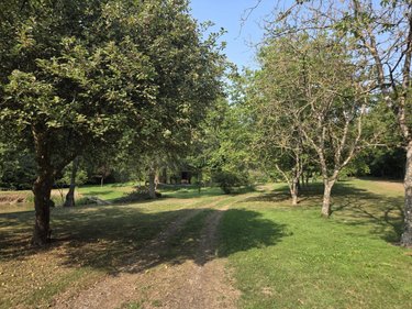 Divers a vendre Ruillé-Froid-Fonds 53170 Mayenne 11300 m2  85400 euros