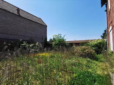 Maison a vendre Bourlon 62860 Pas-de-Calais 89 m2 4 pièces 90500 euros