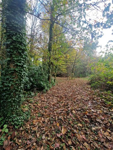 Maison a vendre Pontivy 56300 Morbihan 51 m2 3 pièces 99860 euros