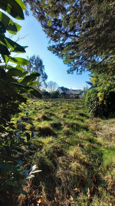 Terrain a batir a vendre Pluvigner 56330 Morbihan 587 m2  94680 euros