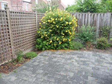 Location appartement Béthune 62400 Pas-de-Calais 77 m2 3 pièces 700 euros