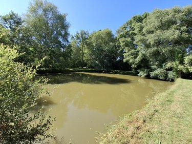Maison a vendre Pleugriffet 56120 Morbihan 116 m2 5 pièces 175000 euros