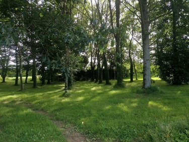 Maison a vendre Mespaul 29420 Finistère 186 m2 8 pièces 276130 euros