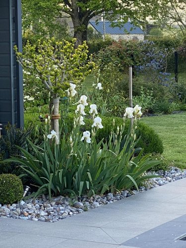 Maison a vendre Cheffes 49125 Maine-et-Loire 224 m2 7 pièces 785860 euros