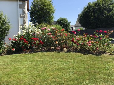 Maison a vendre Loudéac 22600 Côtes-d'Armor 125 m2 5 pièces 291200 euros
