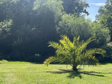 Maison a vendre Fouesnant 29170 Finistère 165 m2 6 pièces 679200 euros