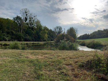 Divers a vendre Muret-et-Crouttes 02210 Aisne 8800 m2  55600 euros