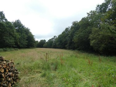 Terrain a batir a vendre Loqueffret 29530 Finistère 5920 m2  53000 euros