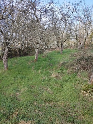 Maison a vendre Tennie 72240 Sarthe 60 m2 4 pièces 156840 euros