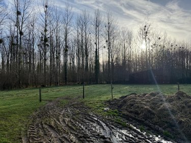 Maison a vendre Sainte-Cécile 50800 Manche 82 m2  32160 euros