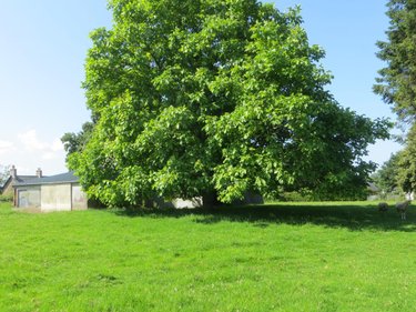 Maison a vendre Courson 14380 Calvados 40 m2  26000 euros