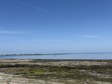 Maison a vendre Sarzeau 56370 Morbihan 183 m2 6 pièces 732000 euros