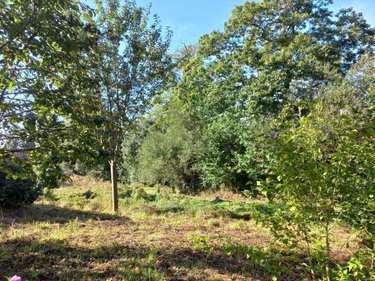 Maison a vendre Le Gouray 22330 Côtes-d'Armor 120 m2 4 pièces 212000 euros