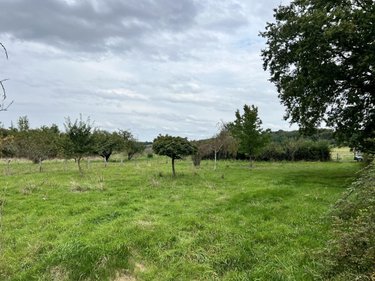 Terrains de loisirs bois etangs a vendre Lunay 41360 Loir-et-Cher 2855 m2  11800 euros