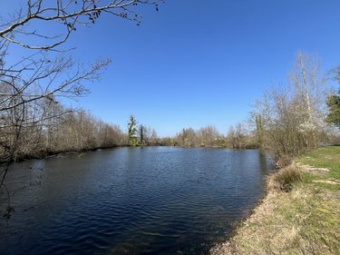 Terrains de loisirs bois etangs a vendre Connerré 72160 Sarthe 18000 m2  85000 euros
