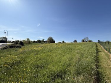 Terrain a batir a vendre Faissault 08270 Ardennes 1232 m2  32000 euros