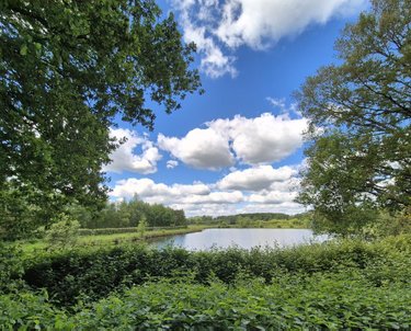 Terrains de loisirs bois etangs a vendre Saint-Marcel 56140 Morbihan 70164 m2  188910 euros