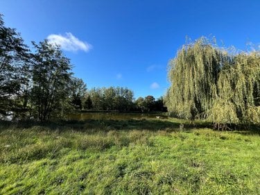Terrains de loisirs bois etangs a vendre Saint-Christophe-du-Luat 53150 Mayenne 17420 m2  84320 euros
