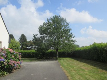 Maison a vendre Plumelin 56500 Morbihan 137 m2 7 pièces 291520 euros